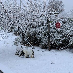 Meet your Posher, Terri